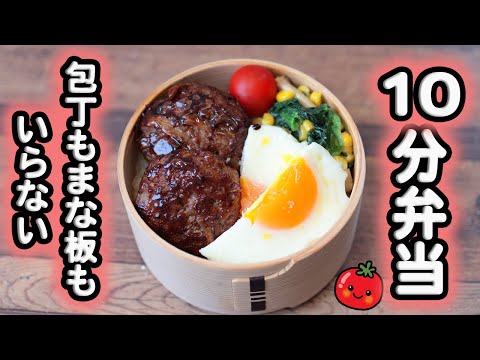 Burdock Root Hamburger Bento