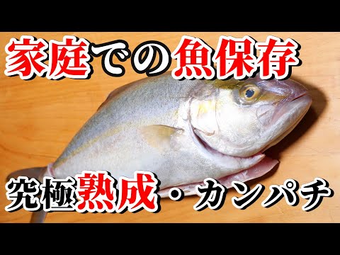 家庭で一番簡単にカンパチを保存、熟成する方法！青物の旨み引き出します