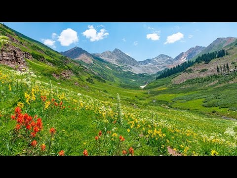 Rustler Gulch Trail - One of the Best Wildflower Hikes in Colorado