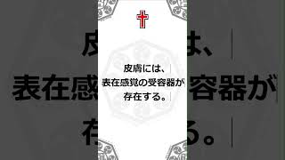 皮膚感覚器2：#看護学生#国家試験#看護師国家試験＊看護師国家試験（厚生労働省）を加工して作成しております。