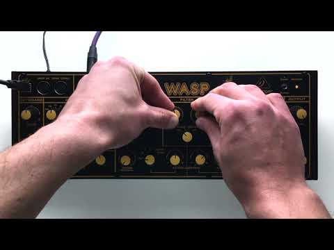 Behringer WASP Deluxe | Techno/House Sequence (No Talking)