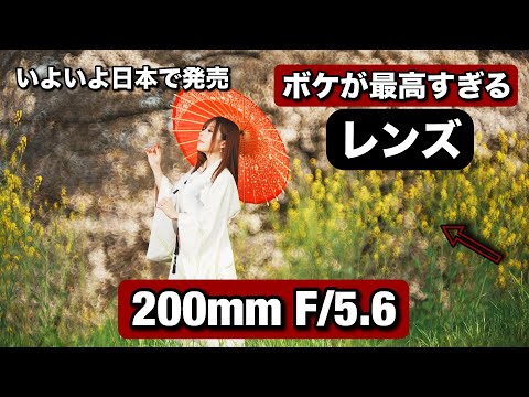 ボケがめっちゃ面白いレンズ！KASE 200mm F/5.6 ミラーレンズで撮るポートレート撮影！このレンズが楽しすぎる！