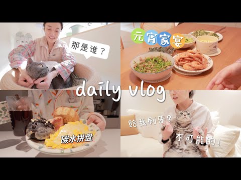 VLOG#33｜一人一猫｜独居两餐｜原味蛋糕卷｜面包碳水｜双拼盖饭｜鸡蛋葱油饼卷肠｜喵呜伊和球球终于相见❤️｜给猫咪刷牙有多离谱！