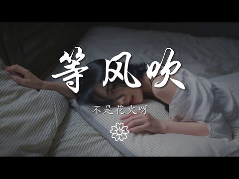 不是花火呀 - 等風吹『風一吹 你像顫抖蝴蝶』【動態歌詞Lyrics】