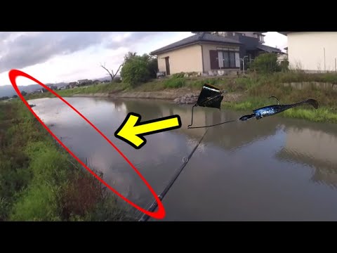 【バス釣り】あそこにヤツはいる!!梅雨の激濁り・増水の川にルアーを投げると・・・【バズベイト】