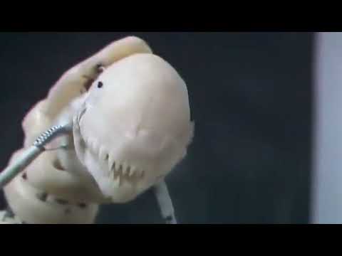 Puppet test from Aliens