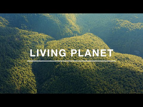 Living Planet