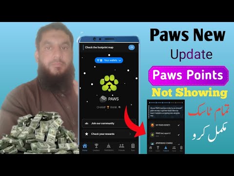 Paws airdrop New Update | Paws Stolen Christmas Task | Paws Mystery Quest | Paws Mystery Quest Today