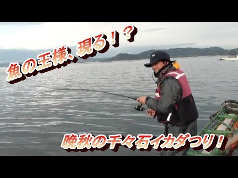 H29.11.20 晩秋の千々石イカダ釣り！ 魚の王様登場!?