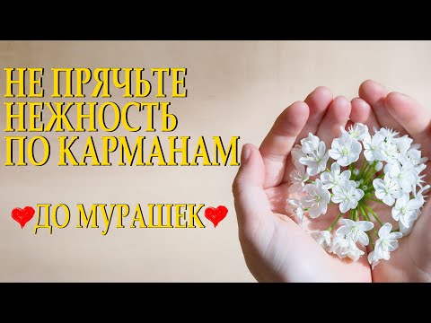 Очень душевный стих "Не прячьте нежность по карманам" Лариса Шешукова Читает Леонид Юдин