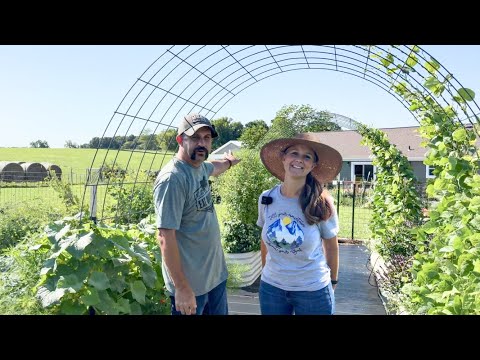 She Has Waited 8 Years for an HERB GARDEN!  Happy Wife, Happy Homestead!