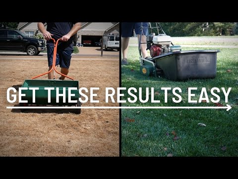 Lawn Renovation From Start to Finish // 45 Day Results EASY