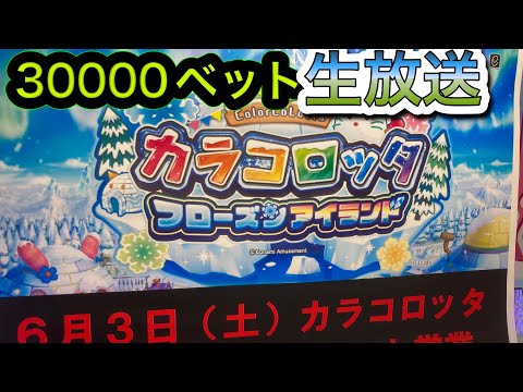 カラコロッタ30000ベット　メダルゲーム配信