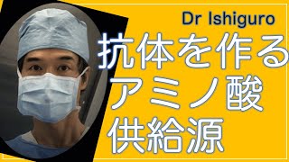 抗体を作るには必須アミノ酸リシンが必要ー優れた蛋白供給源スーパーフード”モリンガ”