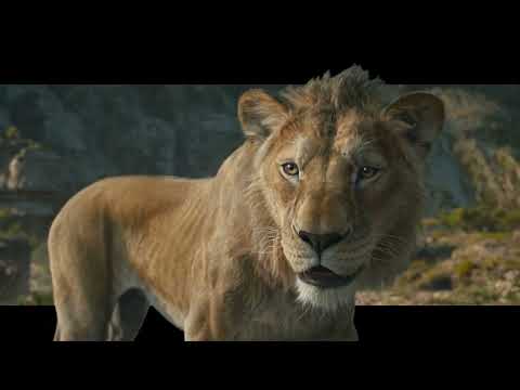 Mufasa: The Lion King | Life Brothers