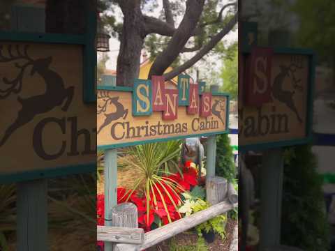 Knott’s is so magical during the Christmas season #themepark #knottsberryfarm #christmas