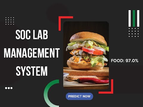 DAAA 3A61 SOC Lab Management System