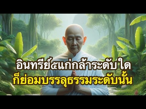 การบรรลุธรรมทุกชั้น มีปัจจัยจากอินทรีย์๕ อินทรีย์ต่างกันก็บรรลุธรรมต่างกัน