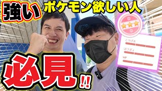 実は激アツ！？復帰勢大歓喜の年内イベント！【ポケモンGO】