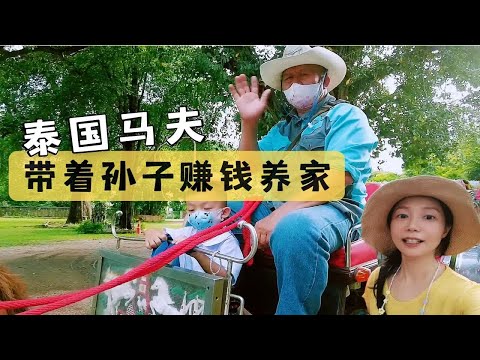 老爷子送马去学校学费就一万八如今没有中国游客的日子好艰难Vlog泰国