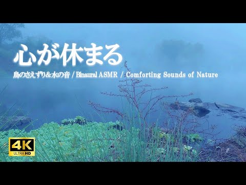 心が休まる：金鱗湖の水の音 由布岳の鳥たちのさえずり / 心の疲労回復 ストレス軽減【自然音,ASMR,立体音響,4K,relaxing  nature sounds】