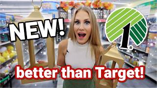 ✨ NEWEST! ✨ DOLLAR TREE finds BETTER than Target! (easy DIY + new cleaners!)