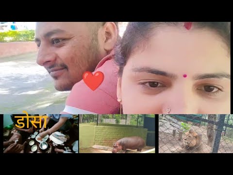 banglor का स्पेशल सांभर डोसा😋 ||। किसी किस ने खाया हैं बताओ || गोलू हुआ बहुत खुश #vlog #viral #desi