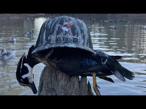 SC Duck Hunting/ Hisea Waders Review