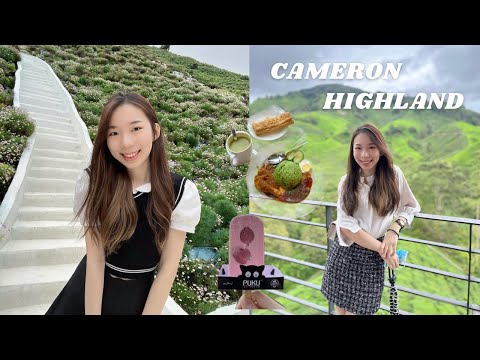 Cameron Highlands 🇲🇾 金马仑必去新旅游行程 🆕 CH Flora Park值不值得去？新打卡景点 🚗 两天一夜不踩雷分享! 🤩