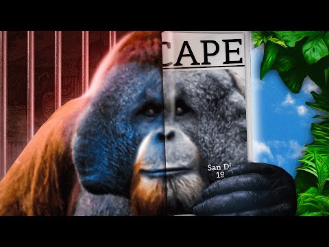 The Ape That Couldn’t Be Contained