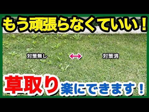 【効率化】芝生の草取り、もう頑張らなくていいですよ