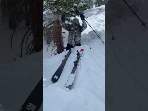 Skier hits tree and falls in a hole #shorts #skiing #fail