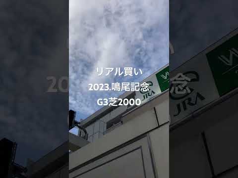 勝ち馬2023/鳴尾記念G3リアル買い/阪神稍重から良になり、4,7,12,14のワイド買い。種牡馬がブラックタイドやクロフネやキンカメやオルフェ産駒から/結果12,4,9より4-12ワイドや馬連的中