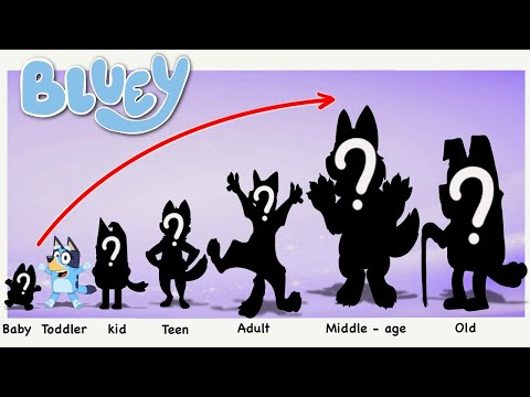 Bluey Heeler New Growing Up - Life After Happy End Compilation | Cartoon Wow