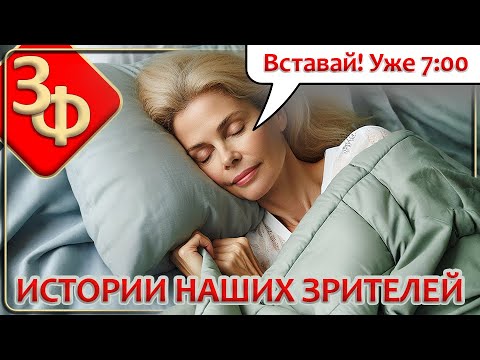 187 Новые Истории Наших Зрителей