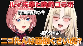 【＃虎に鷹の翼】ルイ先輩と晩酌コラボ ニコたんは面倒くさい虎？【ホロライブ/鷹嶺ルイ/虎金妃笑虎/切り抜き】