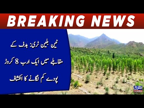 Ten billion trees: Hadaf kay muqabaly main 1.8 billion poday km lagany ka inkeshaaf