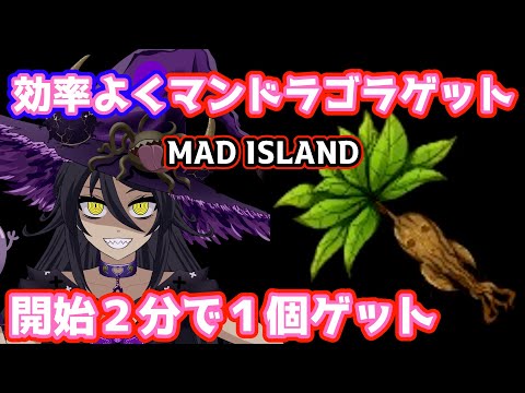 【MAD ISLAND】 マンドラゴラを効率的にゲットする方法！ ７分で２株ゲット！！