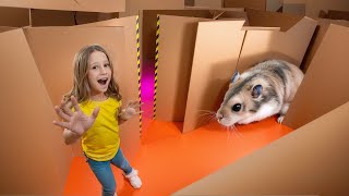 Nastya and the hamster's escape from the cardboard maze.