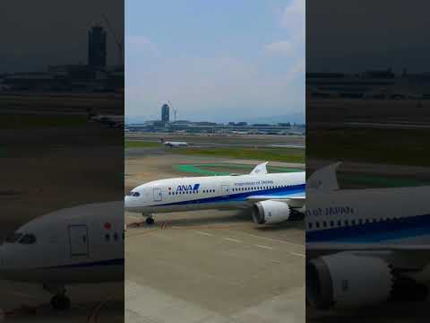 【癒し動画】福岡空港　福岡空港国内線　全日空　ANA　#shorts