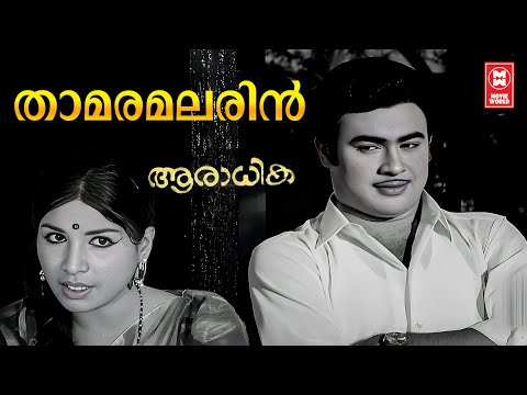 Thamara Malarin | Aaraadhika | Jayabharathi | Malayalam Song | P Susheela | MS Baburaj