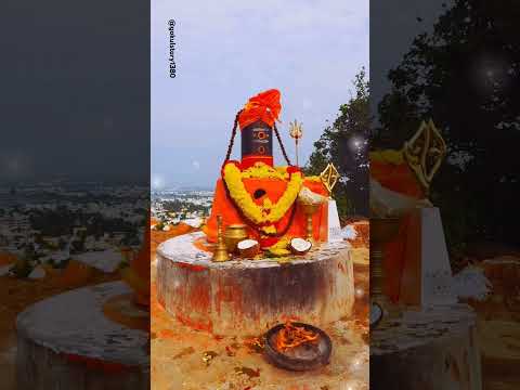 ஓம் நமச்சிவாய #shivshankar #shiva #shiva #2024 #tiruvannamalai @gokulstory1380