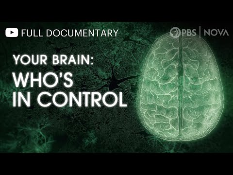 Your Brain: Who's in Control? | Full Documentary | NOVA | PBS