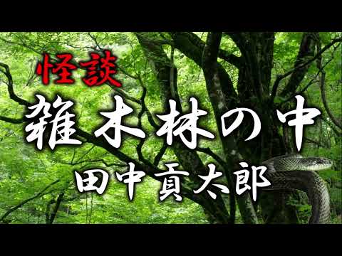 雑木林の中　田中貢太郎　朗読