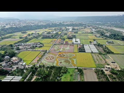 桃園大溪月眉花彩節 (Nov.  2022)