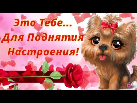 Тебе для Прекрасного Настроения! Классное Музыкальное Позитивное Пожелание! Улыбнись! Песня для Тебя