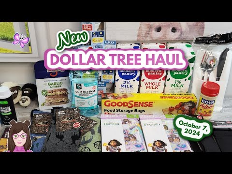 New DOLLAR TREE HAUL!  Amazing Finds!! October 7, 2024