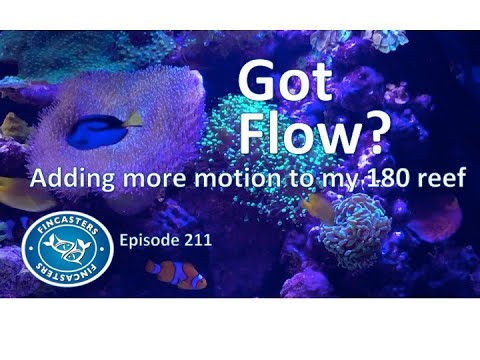 Got Flow? | Episode 211