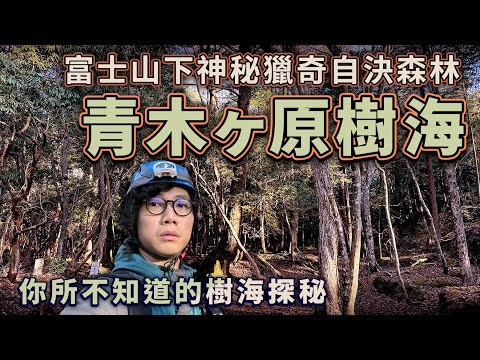 富士山下神秘獵奇森林 青木原樹海！你所不知道的樹海生態 不對外開放的富士風穴探秘！