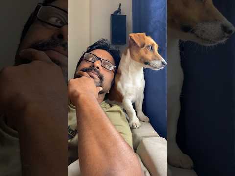 நல்லா brightடா இருக்கு😎🐕🐶#dog#pets#doglover#animals#funnydogs#petslover#pet#life